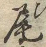 Located 尾