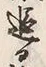 文字漸