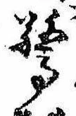 Đã định vị 驚