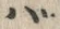字バ