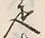 「疋」字