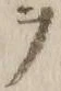 文字 書
