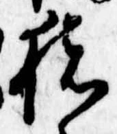 已定位猪