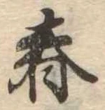 位置 確認된 春
