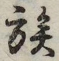 已定位族
