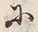 Character 住