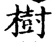 「樹」字