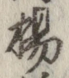 已定位楊