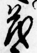 已定位茂