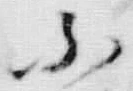文字不