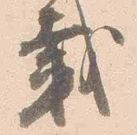 㐌定位載