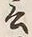 𡨸言