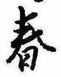 位置 確認된 春