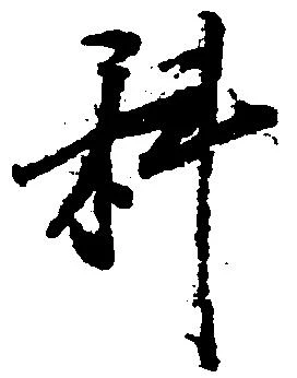 科の位置