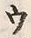 文字ウ