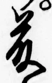 已定位藤