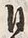 「本」字