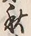 字秋