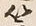 𡨸簾