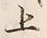 「上」字