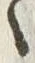 字横