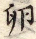Đã định vị 卵