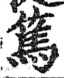 「篤」字