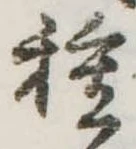 已定位種
