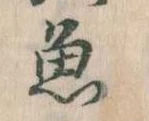 已定位魚