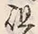 字組
