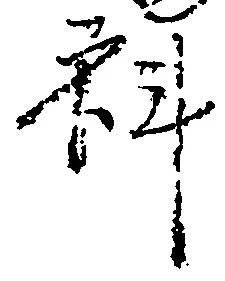 科の位置