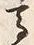 𡨸馬