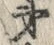 𡨸弟