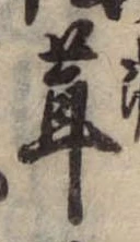 位置定マレル茸