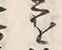 Character 貯