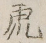 已定位虎