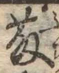 已定位藤