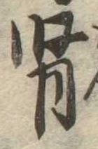 腎の位置