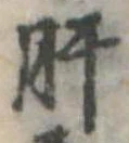 已定位肝