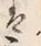 文字 は