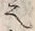 Character 仍