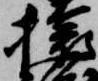 位置 確認된 猿