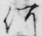 文字何