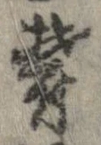 位置 確認된 欝