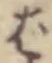 Chữ ば