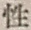 Chữ 性
