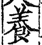 「養」字