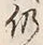 Character 仍