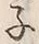 字子