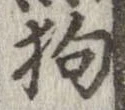 狗 위치 확인됨